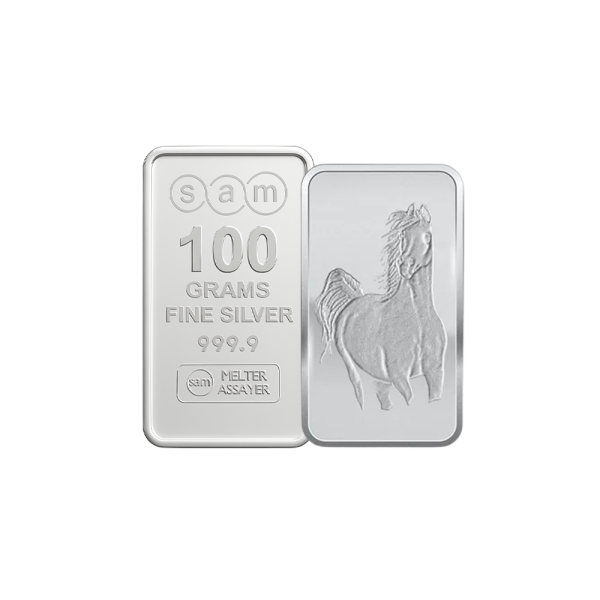 100 gram Horse Silver Bar