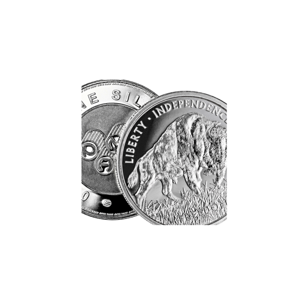1 OZ American Buffalo Silver Coin