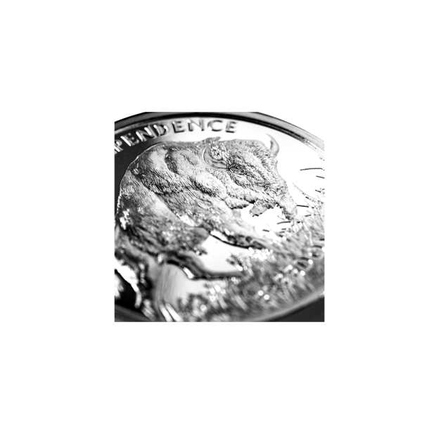 1 OZ American Buffalo Silver Coin